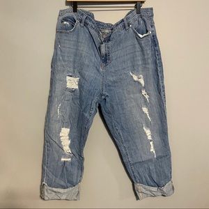 jennifer lopez jeggings plus size